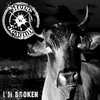 About I'm Broken Song