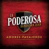 About Amores Pasajeros Song