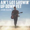 About Ain't Got Growin' Up Down Yet Song