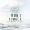 About I Won't Forget Song