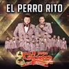 About El Perro Rito Song