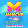 About Sex You Up-James Bluck Remix Song