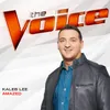 About Amazed-The Voice Performance Song