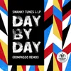 About Day By Day-Rompasso Remix Song