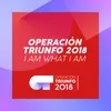 About I Am What I Am Operación Triunfo 2018 Song