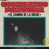 About El Camino De La Noche Song