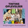 Enhjørningens Hemmelighed Kapitel 6