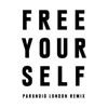 Free Yourself Paranoid London Remix