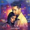 About Jo Tu Na Mila Song