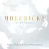 Holubička-Symphonic