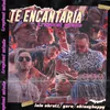 About Te Encantaría Song