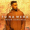 About Tu Na Mera Song