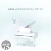 About Jenkins: White Water Song