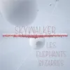 About Skywalker Song