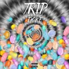 About Trip Song