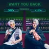 Want You Back dwilly Remix