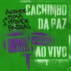 About Cachimbo Da Paz Ao Vivo Song