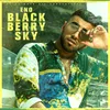 About Blackberry Sky Song