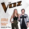 About Shape Of You-La Voz US Song