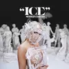 About ICE Song