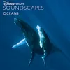 Whale Clicks and Orca Sounds