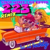 About 223 Remix Song