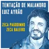 About Tentação Do Malandro Song