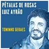 About Pétalas De Rosas Song