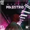 MAESTRO-Raptags 2019