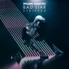 About Bad Liar – Stripped Song