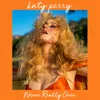 About Never Really Over Song