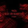 About Blut im Schatten Song