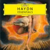 About Haydn: String Quartet In G Minor, HIII:74 - I. Allegro Song