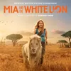 A Miracle For Christmas From "Mia And The White Lion"
