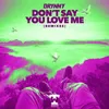Don't Say You Love Me-Lionette Remix