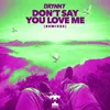 Don't Say You Love Me-Theis EZ Remix