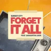 About Forget It All Song