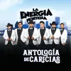 About Antología De Caricias Song