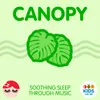 Canopy 5