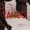 About Tanec Song