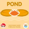 Pond 6