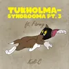 About Tukholma-syndrooma Pt. 3 Song