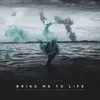 About Bring Me To Life Song