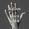 Dark Lake Tyler Pope Remix / LCD Soundsystem