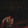 Michi Harvest -Live Seed Folks Special In Katsushika 2014- Version