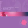 Elysium (I Go Crazy) Ultrabeat Vs. Scott Brown / Flip & Fill Remix