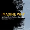 About Imagine Why Salvador Remix Song