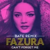 Can't Forget Me BATE Remix