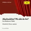 About Beethoven: Fidelio, Op. 72 - Abscheulicher! Wo eilst du hin? Song