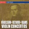 Violin Concerto in E Minor, Op. 64: II. Andante